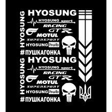 Стікерпак комплект наклейок ПУШКАГОНКА для мото HYOSUNG WHITE Стікерпак комплект наклейок ПУШКАГОНКА для мото HYOSUNG WHITE